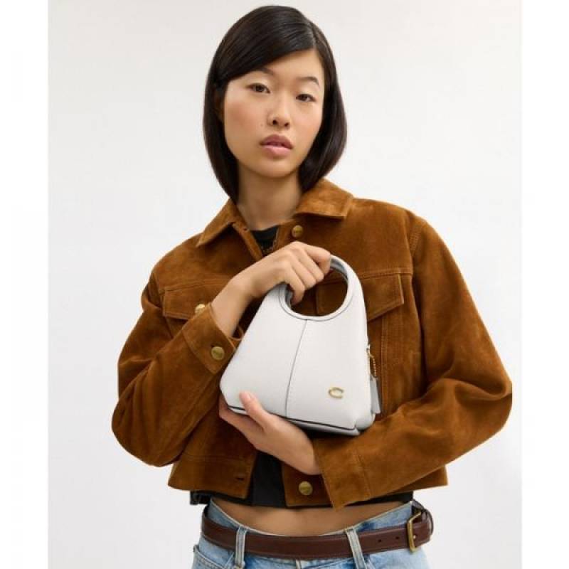 coac lana shoulder bag with box 850