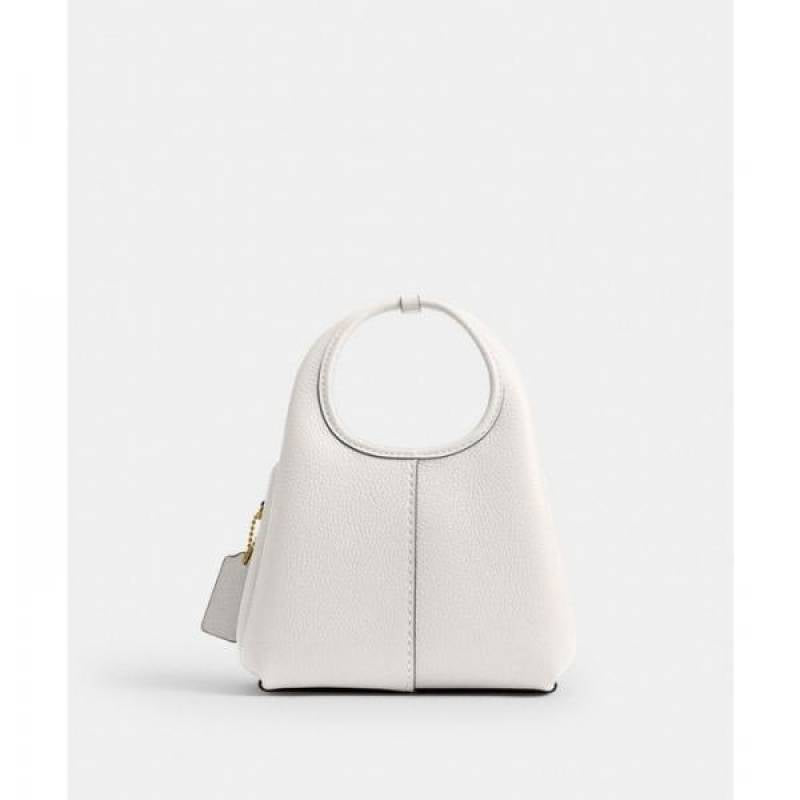 coac lana shoulder bag with box 850