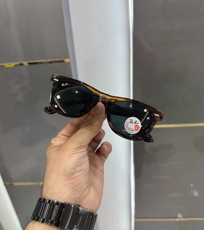 RayBan Tiger Black Premium Shades 2140